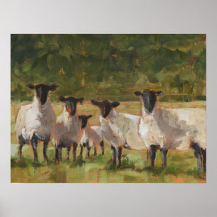 Affiche Famille de moutons