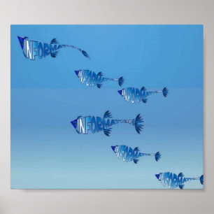 Affiche Famille de poissons Info