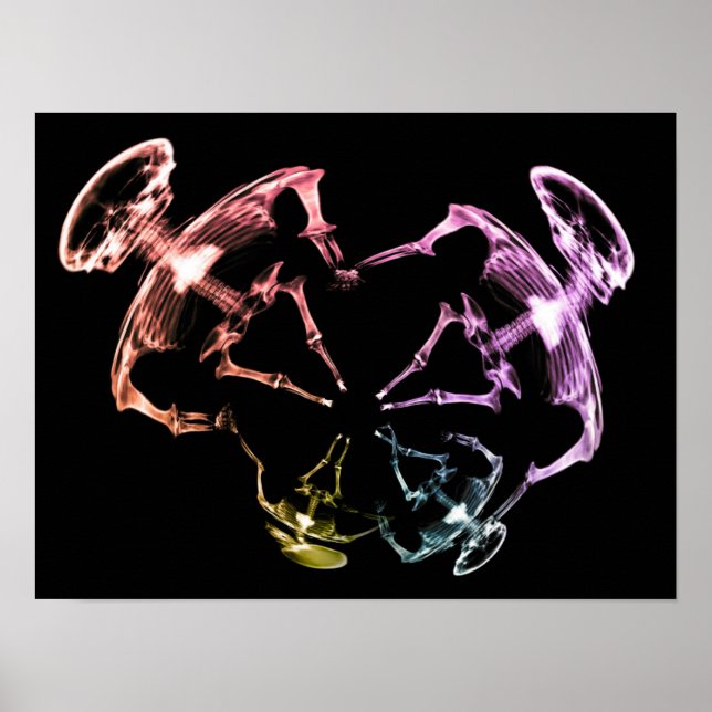 Affiche Famille de squelettes à rayons X étirés 3 (Devant)