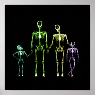 Affiche Famille de squelettes à rayons X - Multicolor 1