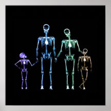 Famille de squelettes X-Ray - Multicolor 3