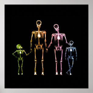 Affiche Famille de squelettes X-Ray - Multicolor 4
