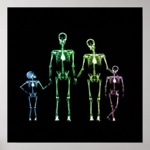 Affiche Famille de squelettes X-Ray - Multicolor 5