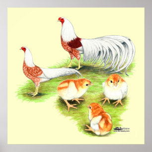 Affiche Famille des épaules rouges de Yokohama