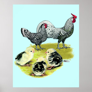 Affiche Famille Hambourg mouchetée