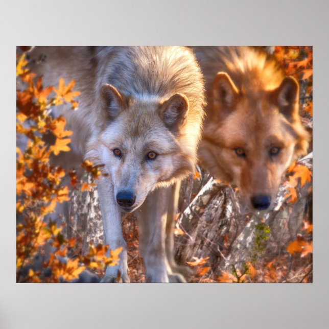 Affiche FAMILLE Wolf AUTOMNE (Devant)