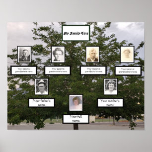 Affiche Family Tree 3 Generation Photo Names Summertime