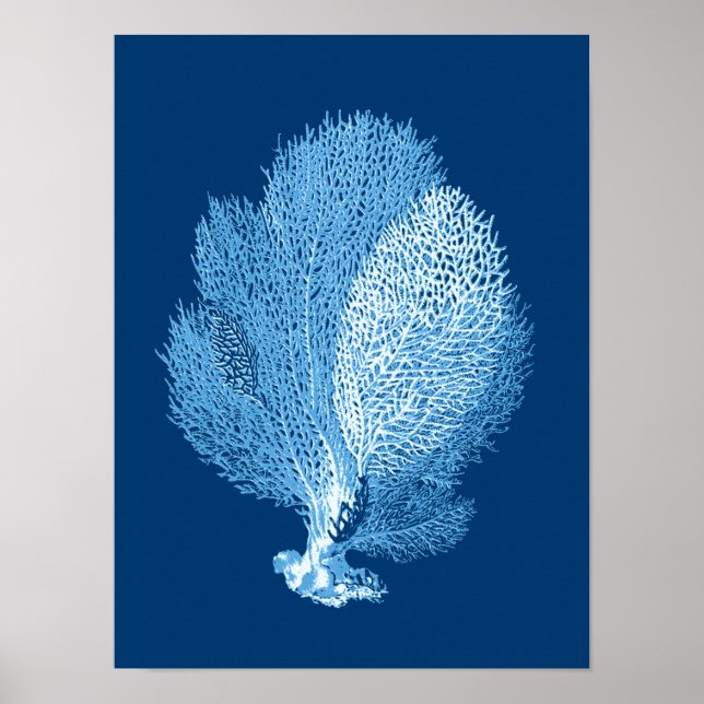 Affiche Fan Coral Sea Life Print, Indigo Blue and White (Devant)