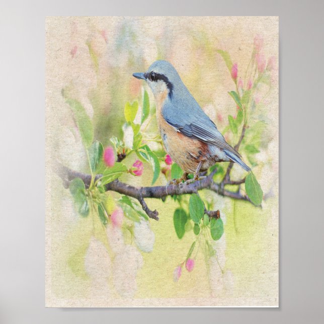 Affiche Fanatique d'oiseaux (Devant)
