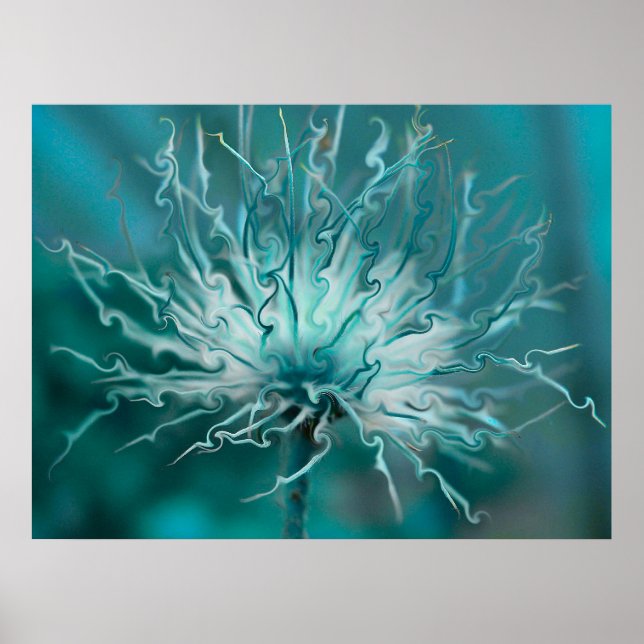 Affiche Fancy Seed Head (Devant)