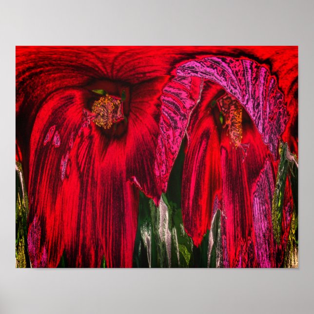 Affiche Fantaisie de fleur d'Hibiscus Art floral abstrait  (Devant)