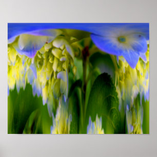 Affiche Fantaisie de fleurs d'Hortensia Floral Abstrait