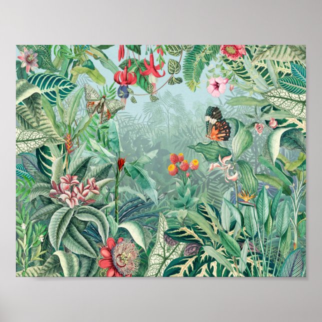 Affiche Fantastique Tropics Rainforest (Devant)