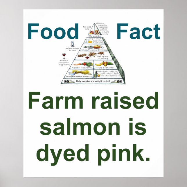 Affiche Farm Raised Salmon Is Dyed Pink - Food Fact (Devant)