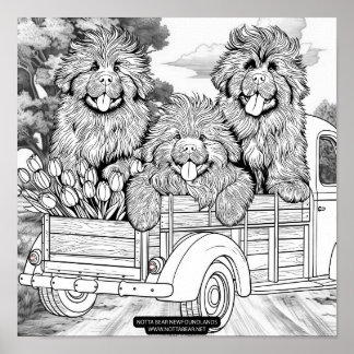 Affiche Farm truck Newfoundland Puppies with tulips