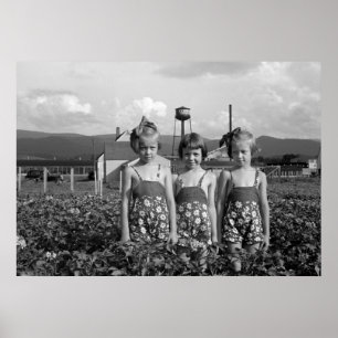 Affiche Farmer's Daughters, 1939