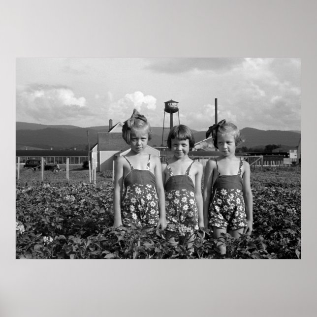 Affiche Farmer's Daughters, 1939 (Devant)