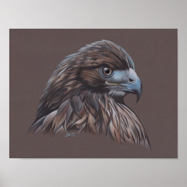 Affiche Faucon (Devant)