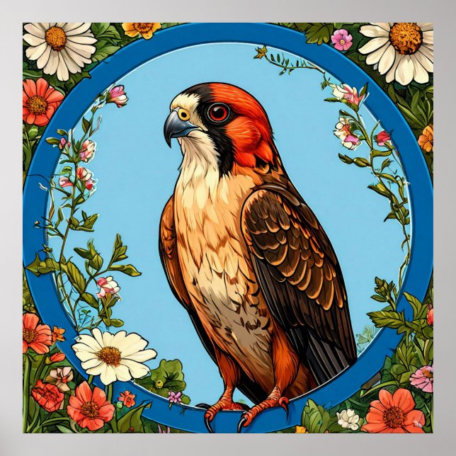 Affiche Faucon crécerelle aux pattes rouges coloré (Devant)