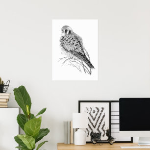 Affiche Faucon crécerelle épervier autour oiseau aquarelle