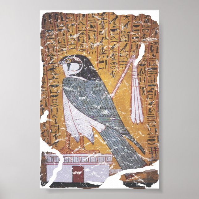 Affiche Faucon noir (Devant)