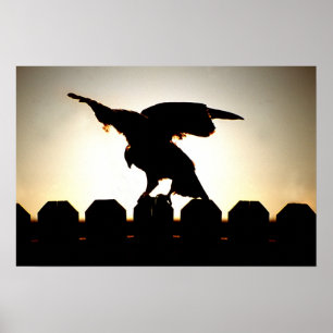 Affiche Faucon sur clôture