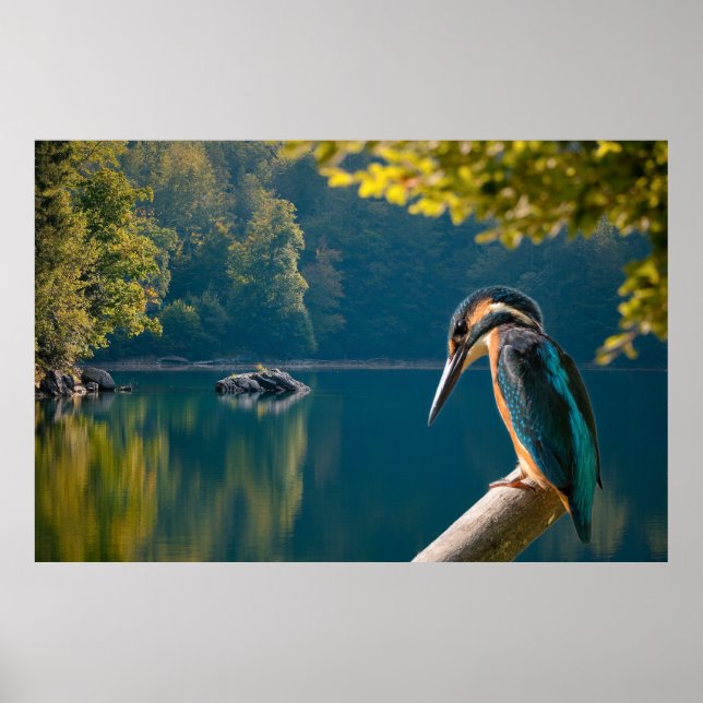 Affiche Faune (Devant)