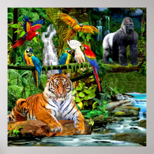 AFFICHE FAUNE ET FLORE DE LA FORÊT TROPICALE