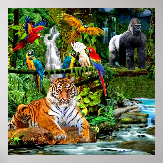 AFFICHE FAUNE ET FLORE DE LA FORÊT TROPICALE (Devant)