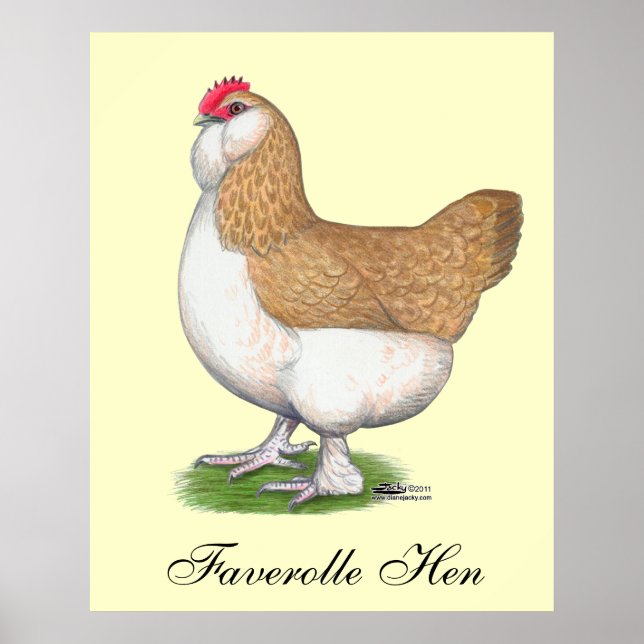 Affiche Faverolle Hen (Devant)