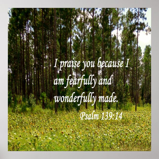 Affiche Fearful et merveilleusement fait (Devant)