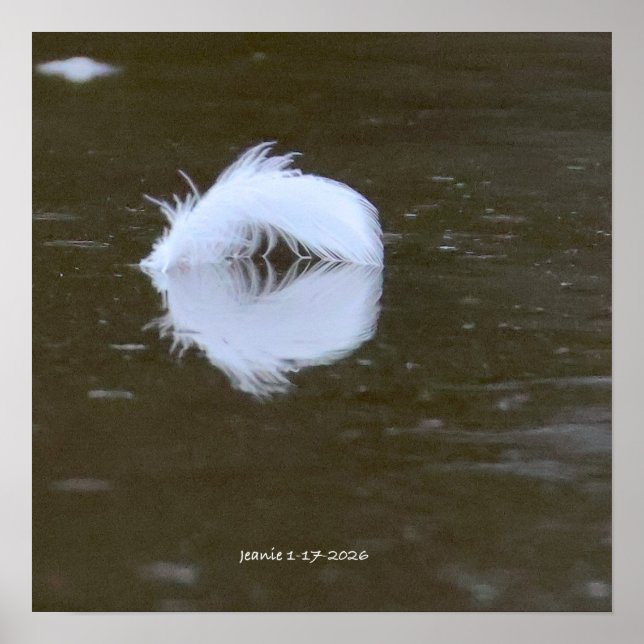 Affiche Feather on the water (Devant)