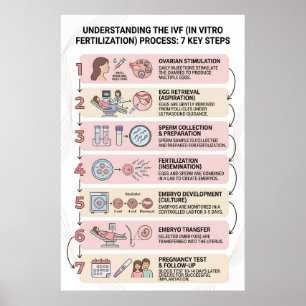 Affiche Fécondation In Vitro (FIV) Processus Expliqué : 7