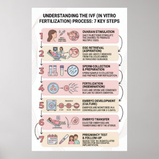 Affiche Fécondation In Vitro (FIV) Processus Expliqué : 7