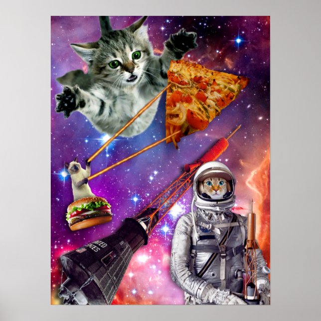 Affiche Fédération spatiale Cat (Devant)
