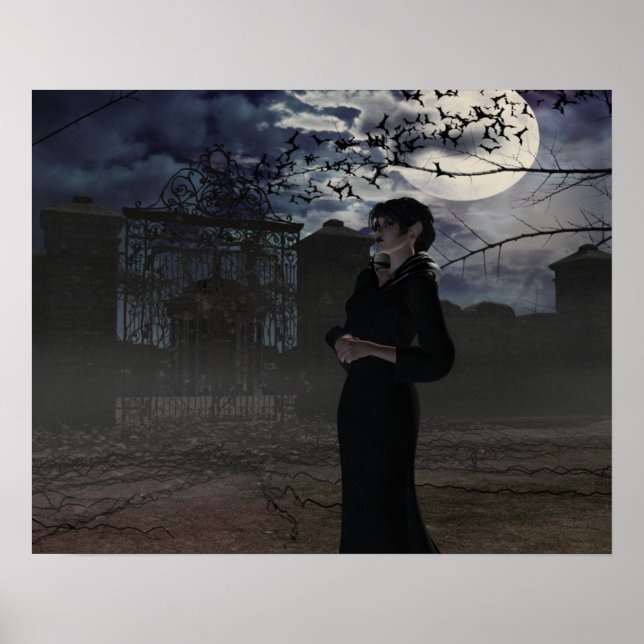 Affiche Fée foncée au clair de lune (Devant)