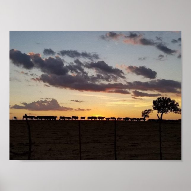 Affiche Feed Time (Devant)