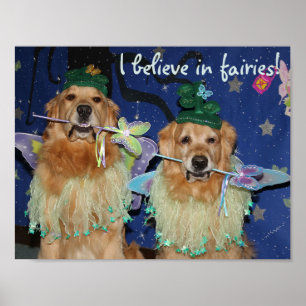 Affiche Fées de golden retriever
