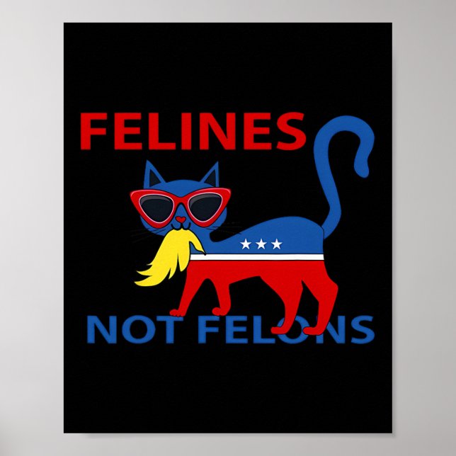 Affiche Félins Pas des Criminels Drôle Kamala Dame de Chat (Devant)