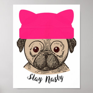 Affiche Feminist Reste Nasty Pink Chat Casquette chien Car