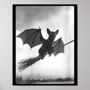 Affiche Femme gothique balai de sorcière chauve-souris ail