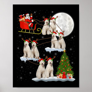 Affiche Femme Labradoodle Chien Père Noël Traîneau Volant
