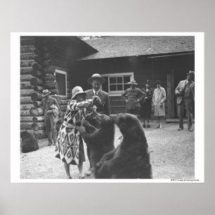 Affiche Femme qui nourrit des ours.