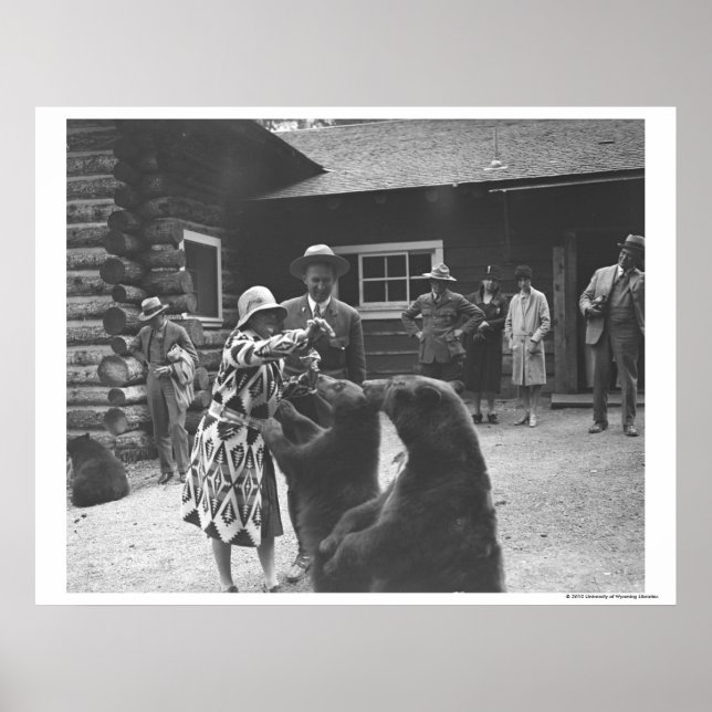 Affiche Femme qui nourrit des ours. (Devant)