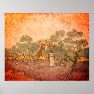 Affiche Femmes cueillant des olives par van Gogh :