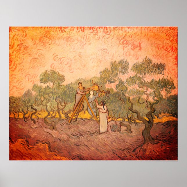 Affiche Femmes cueillant des olives par van Gogh : (Devant)