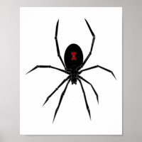 Femmes d'insectes veuves noires de l'Araignée d'Ha