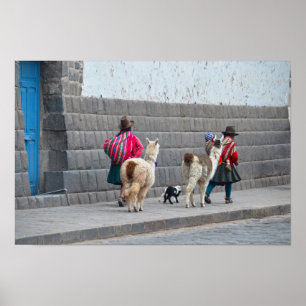Affiche Femmes et Alpacas, Cusco, Pérou