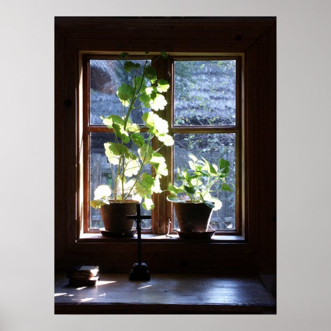 Affiche Fenêtre (Devant)