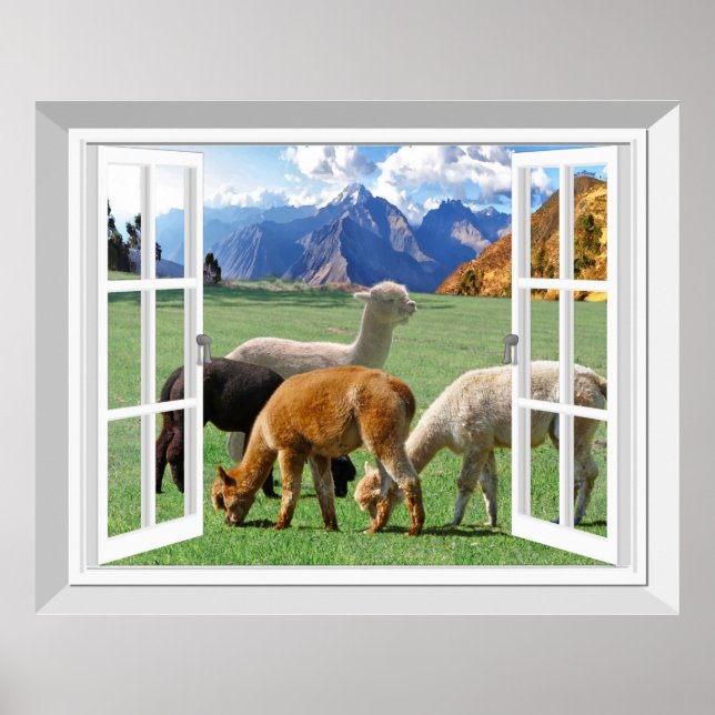 Affiche Fenêtre 3D Fake View Alpaca Llama Wall Art (Devant)